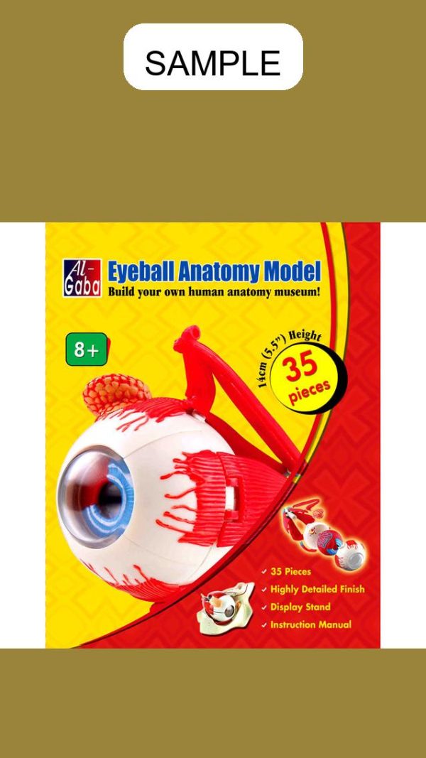 Lab Equipment Eyeball (35 Pcs)