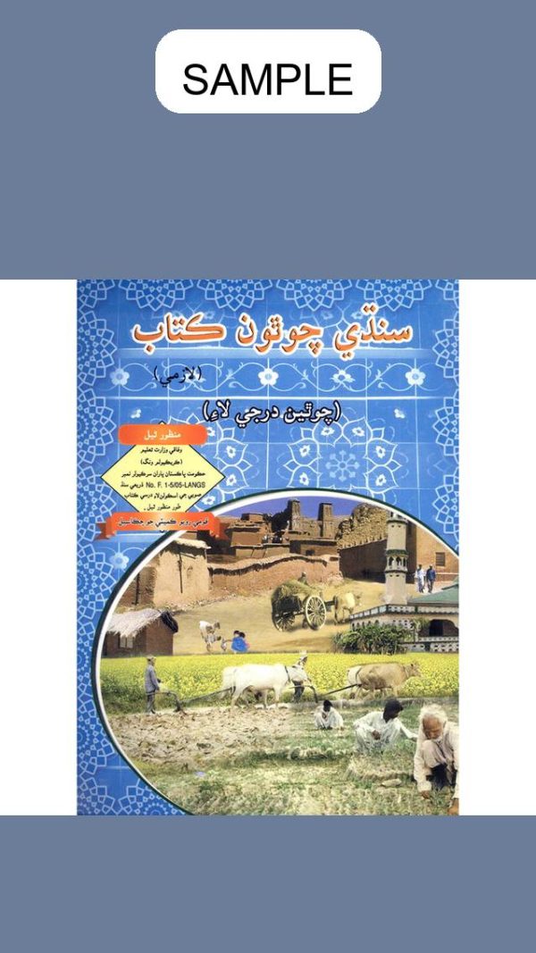 Sindhi Lazmi 4